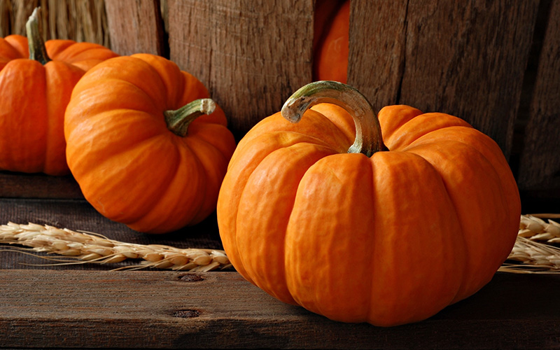 Shallotte Harvest Market And Pumpkin Fest Shallotte NC Shallottenc
