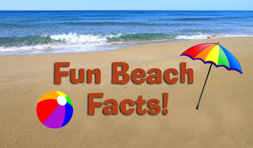 Fun Beach Facts