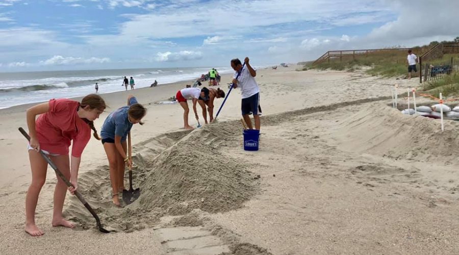 Volunteers Relocating Nests Before Hurricane Dorian 4